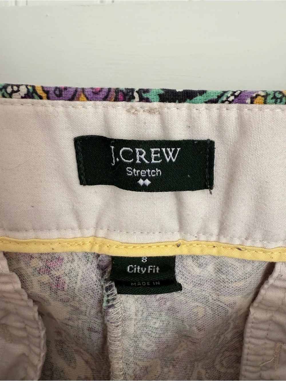 J. Crew Ankle Pants Size 8 Colorful Pants Paisley Print in Purple, Gold, Green
